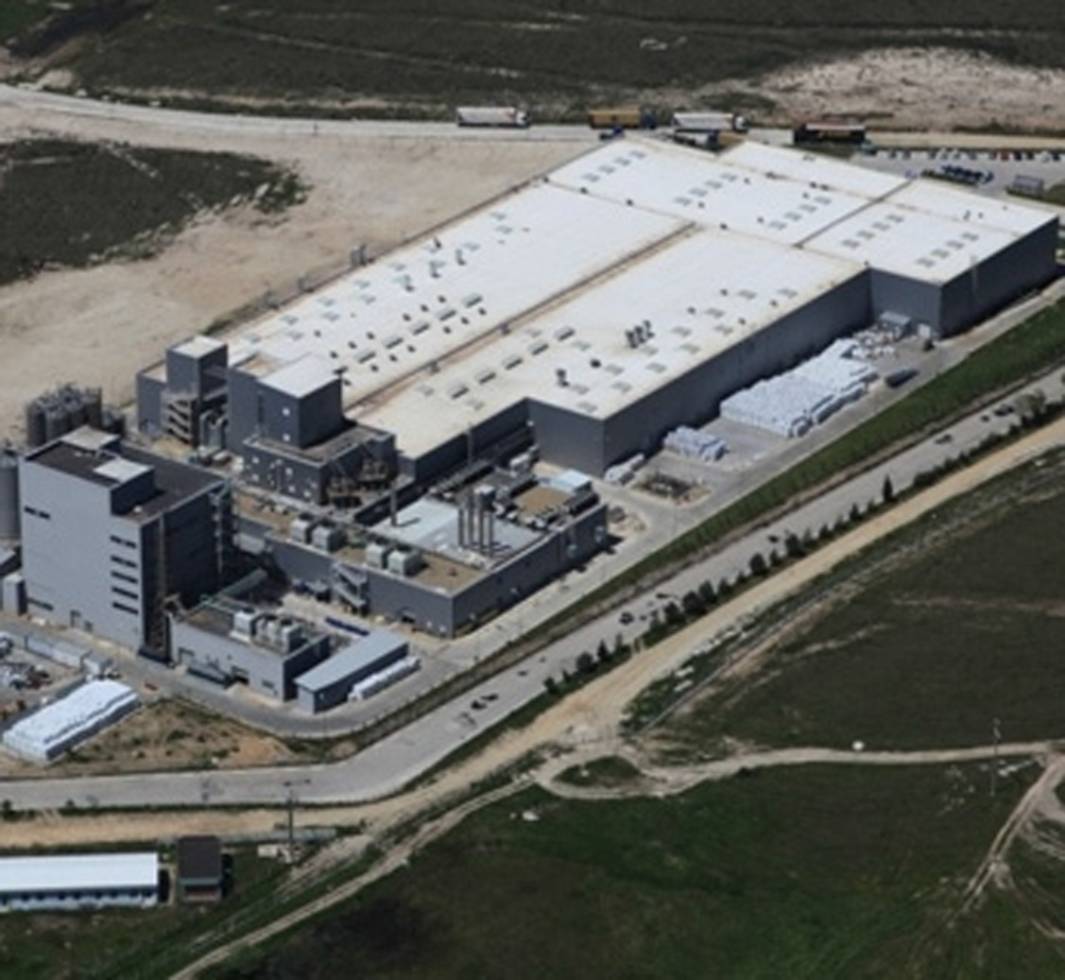polyplex polyester chips facility